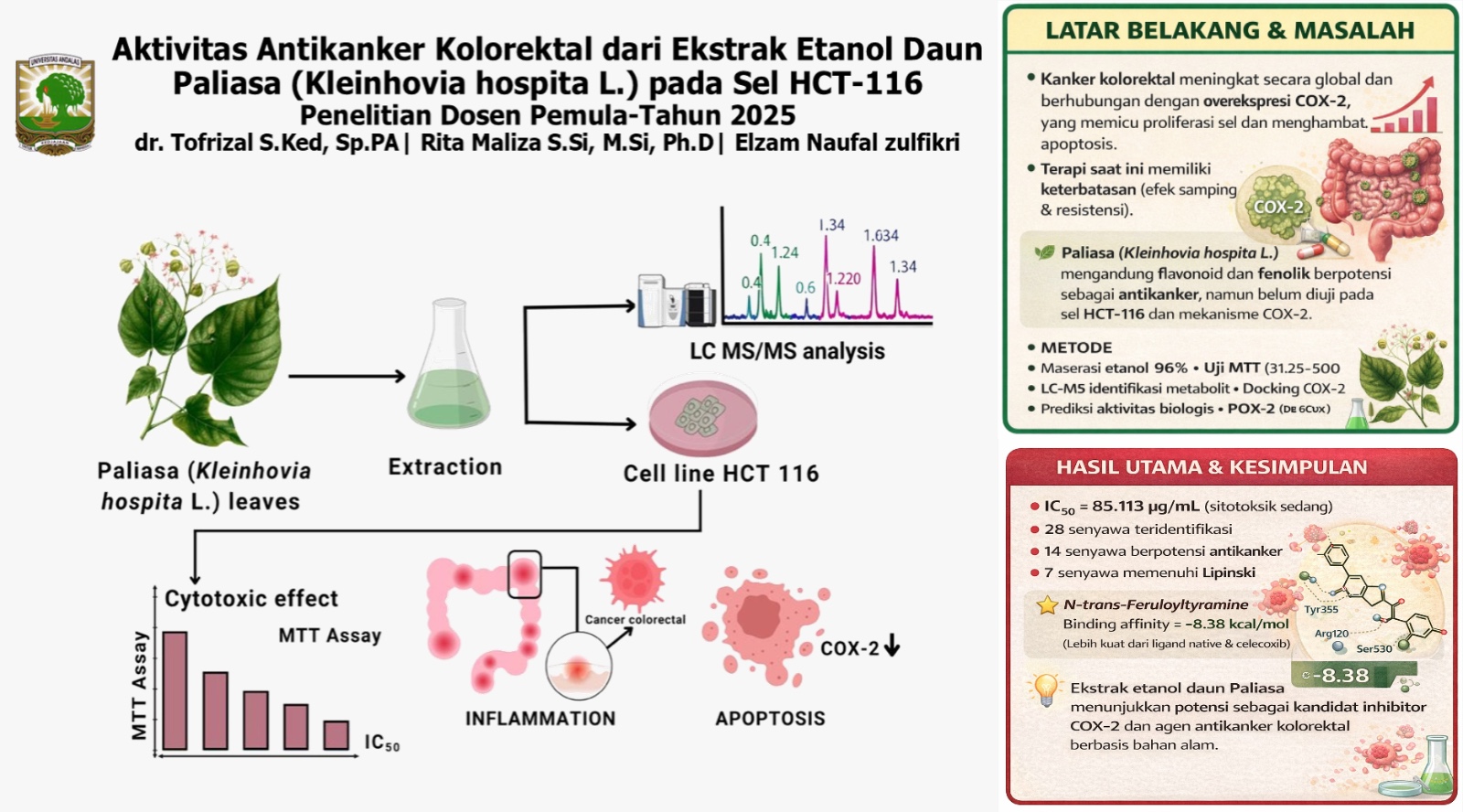Aktivitas Antikanker Kolorektal dari Ekstrak Etanol Daun Paliasa (Kleinhovia hospita L.) pada Sel HCT-116